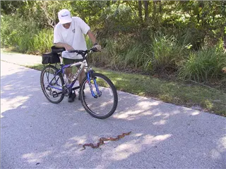 small_011031 flIMG_1640.webp